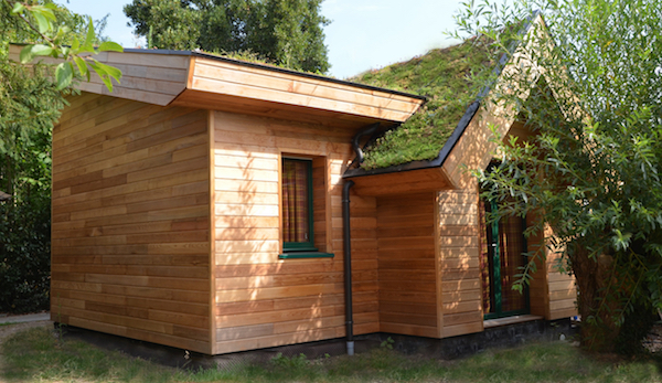 maison en bois toit monopente