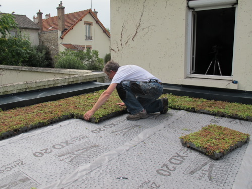 Vgtalisation du toit bureau de jardin