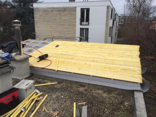 module en bois toit zinc en pente