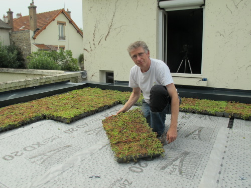 Vgtalisation du toit bureau de jardin