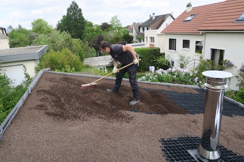 végétalisation toit monopente maison bois végétalisation toit monopente maison bois